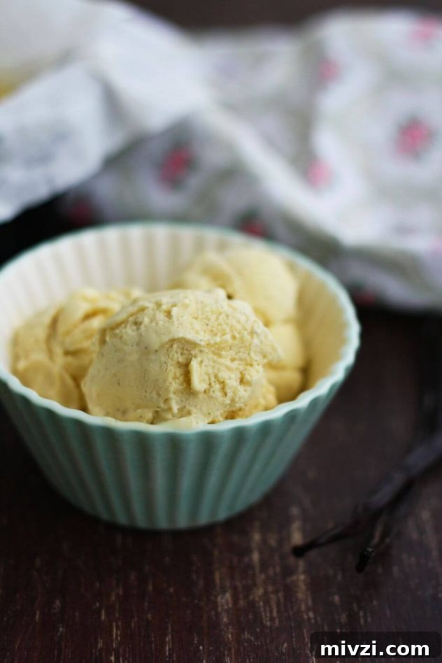Homemade Vanilla Bean Ice Cream Recipe 5 Vanilla bean ice cream scoops.