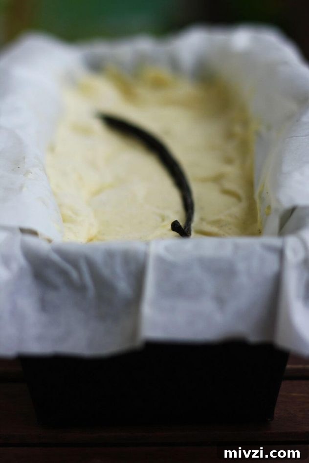 Homemade Vanilla Bean Ice Cream Recipe 6 Scoops of homemade vanilla bean ice cream with optional sauce.