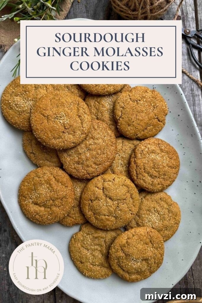 Sourdough Ginger Molasses Cookies with Spiced Chewy Texture 9 Sourdough Ginger Molasses Cookies Pinterest Pin.