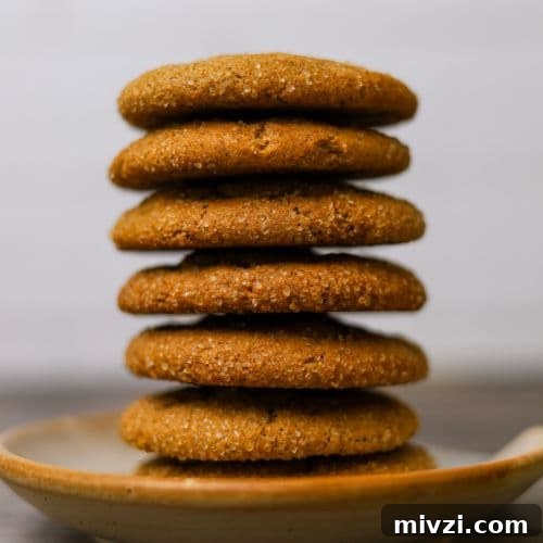 Sourdough Ginger Molasses Cookies with Spiced Chewy Texture 10 img 35345 9