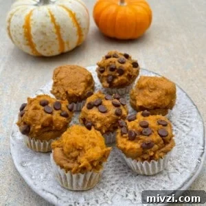 Pumpkin Spice Muffins Made from Cake Mix (Weight Watchers-Friendly) 10 img 35760 10