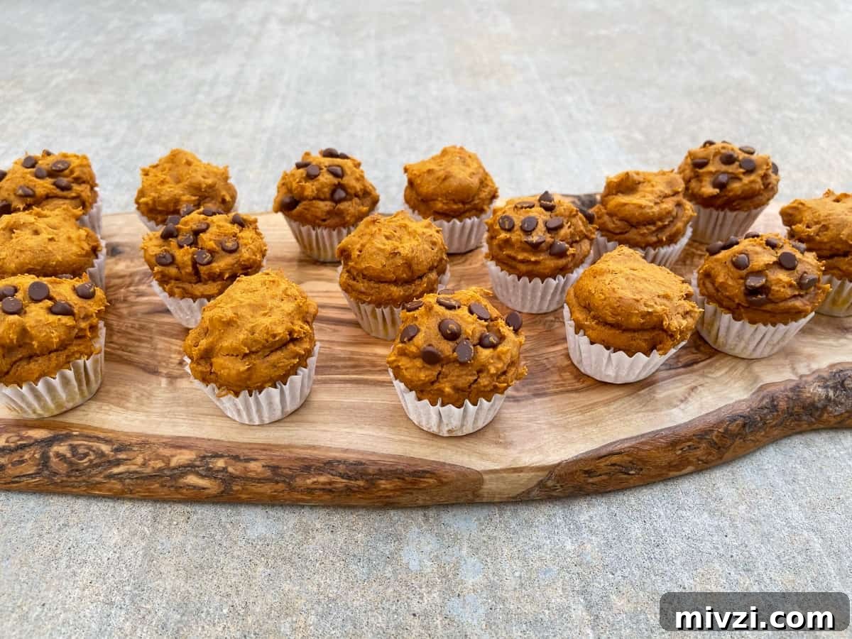 Pumpkin Spice Muffins Made from Cake Mix (Weight Watchers-Friendly) 3 Assortment of plain and mini chocolate chip pumpkin spice cake mix muffins on wood serving platter.