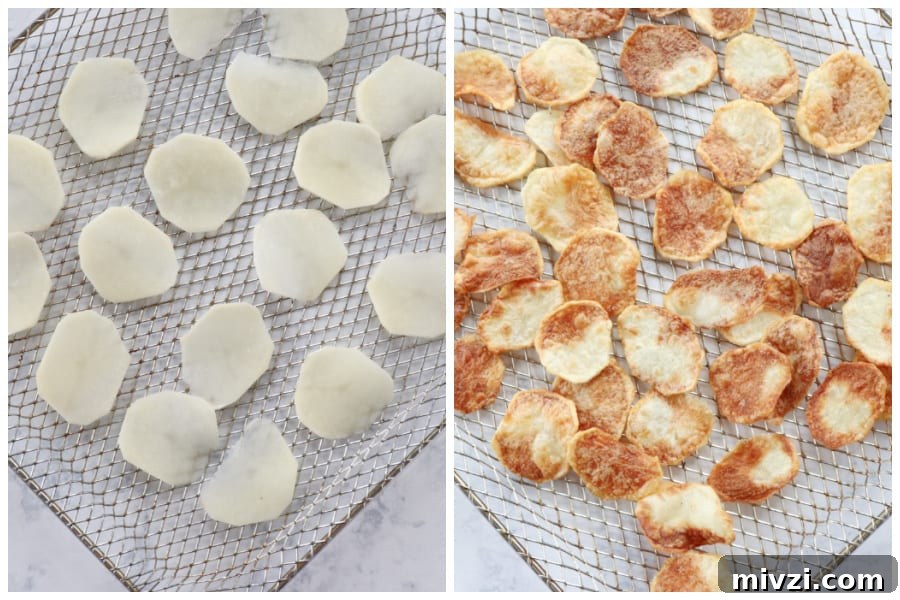 Potato slices on air fryer rack and baked.