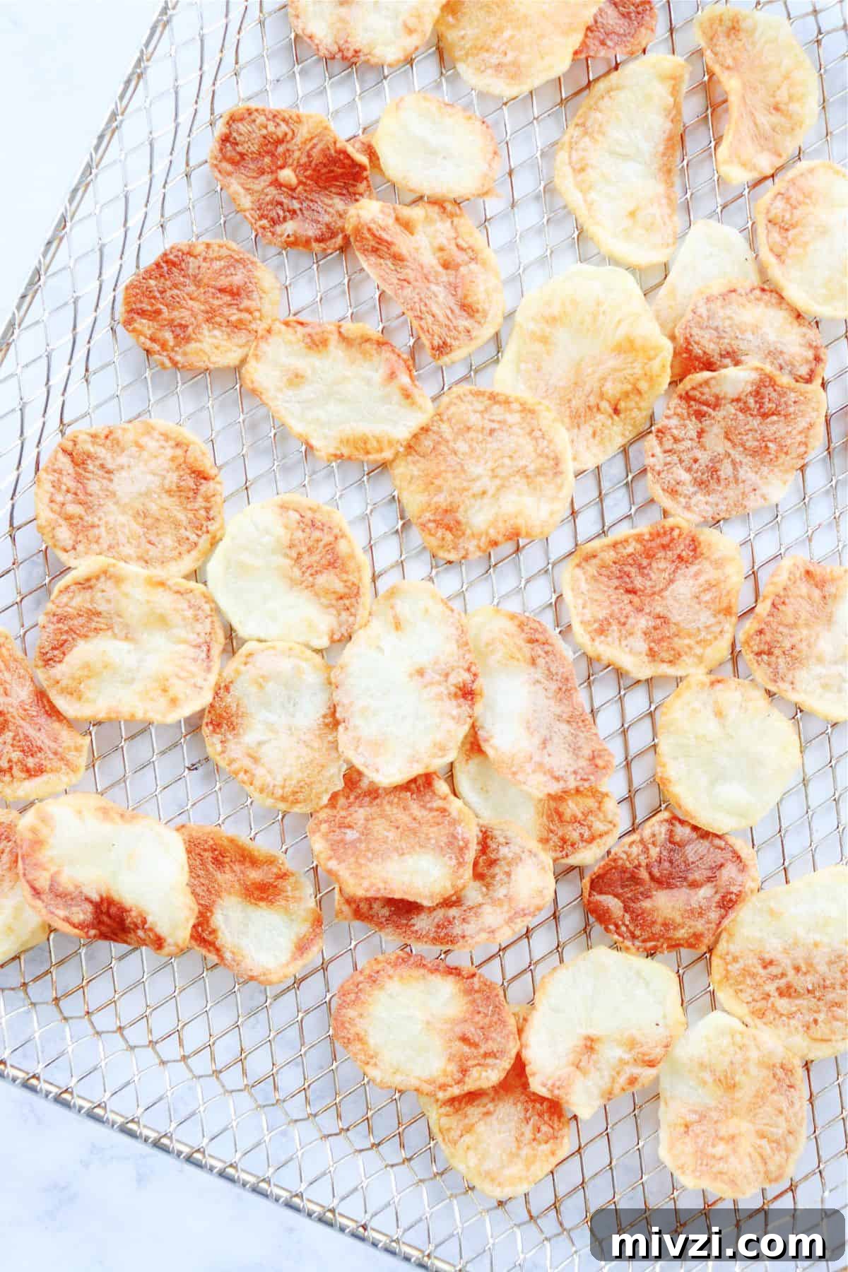 Potato chips on air fryer rack.