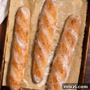 How to Make Classic Sourdough Baguettes at Home 15 Sourdough demi baguettes on a baking sheet