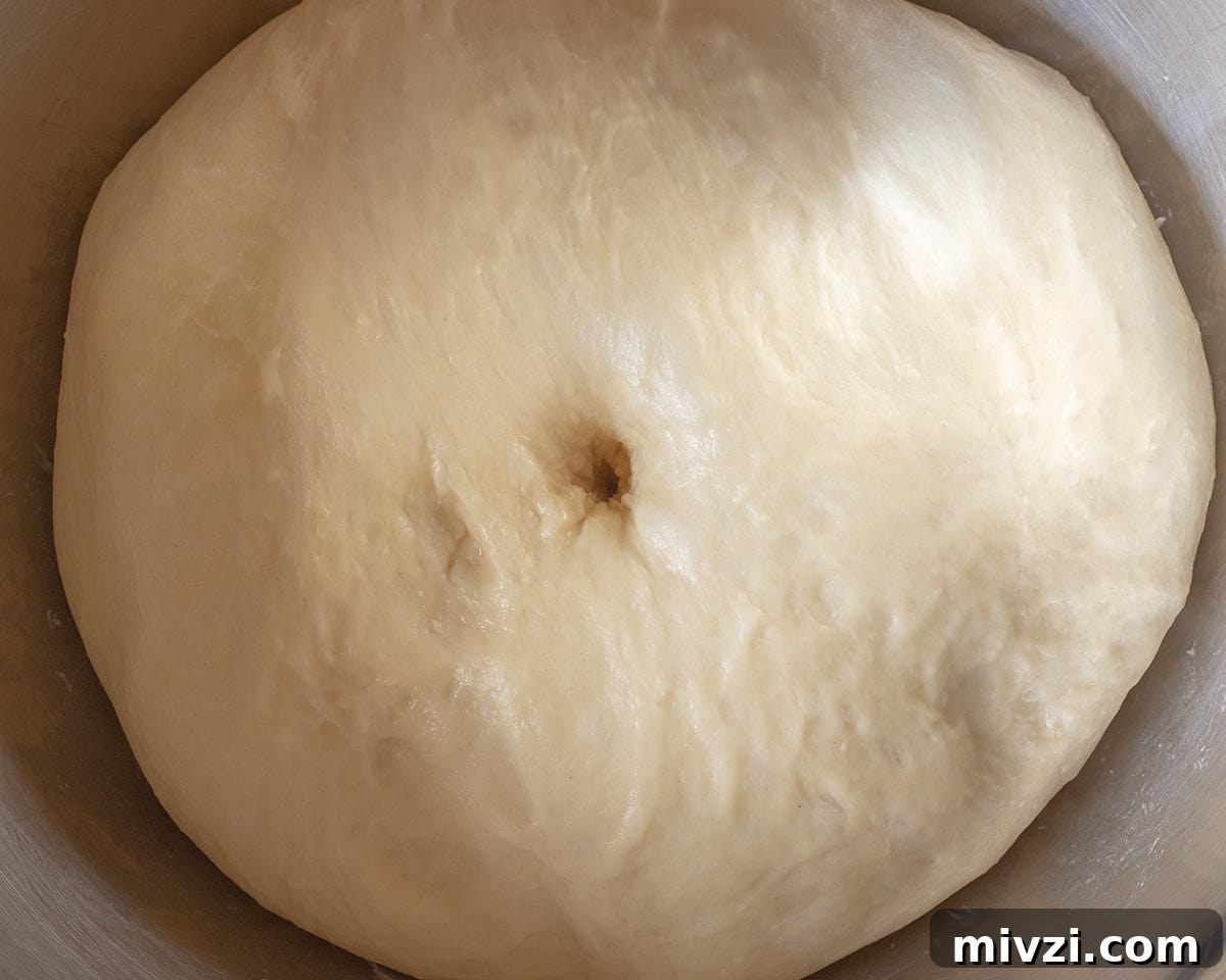 Dough proofed in a bowl.