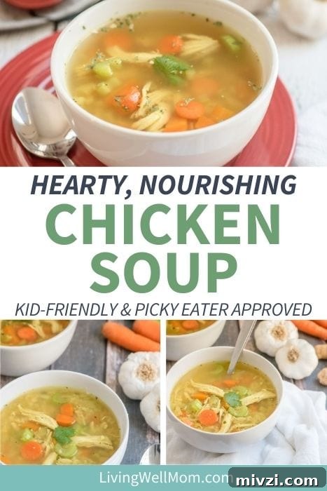 collection of hearty chicken soup pictures