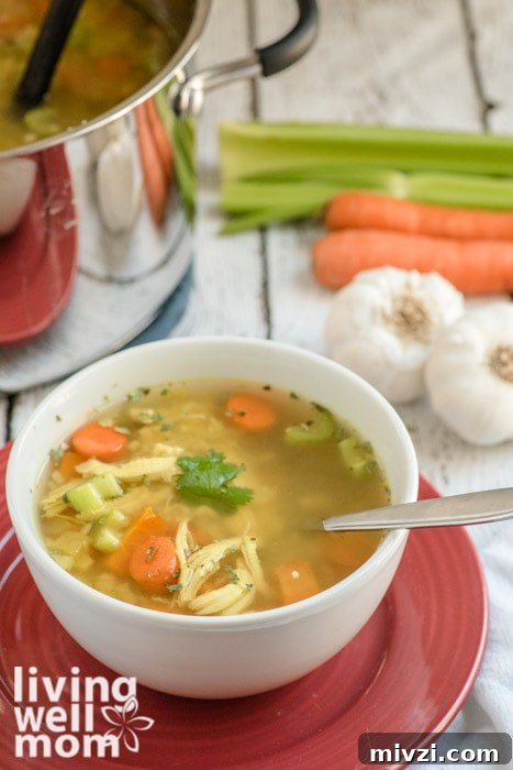 Chicken soup with celery, carrots, and garlic in the background