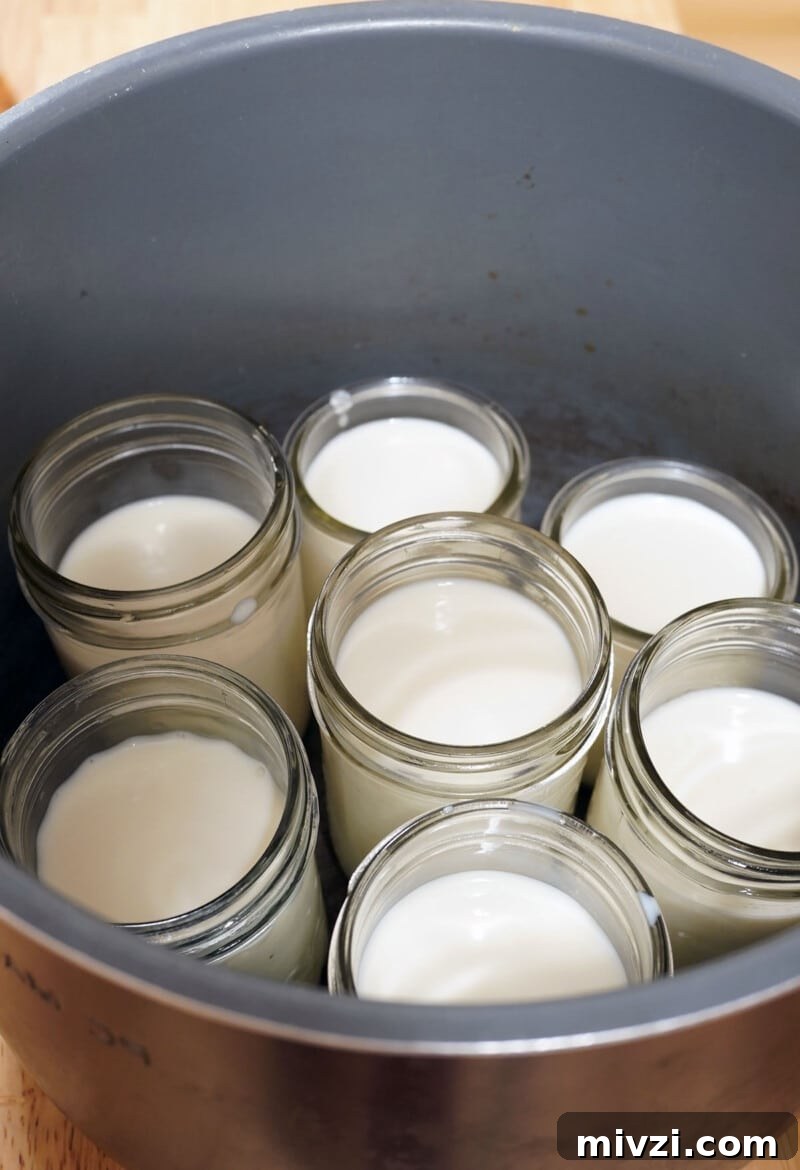 yogurt in pot