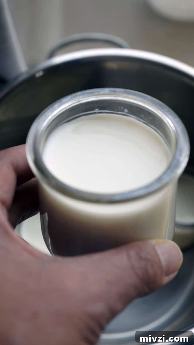ingredients for yogurt