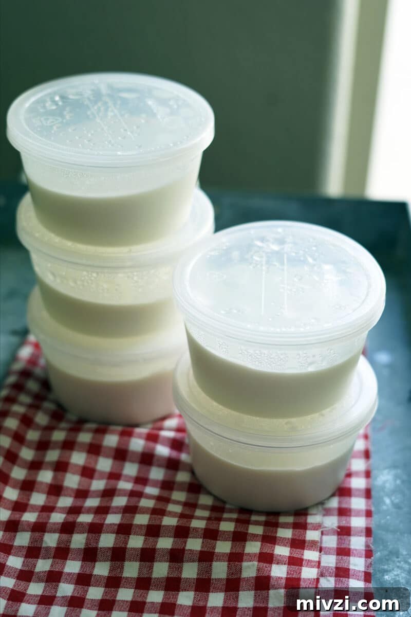 yogurt setting in jars