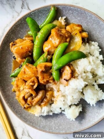 chicken black bean stir fry served with rice on a grey plate