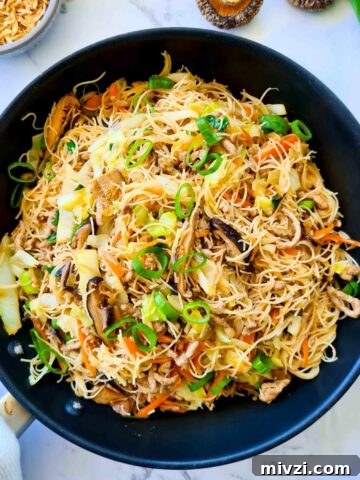 a pan full of stir fried vermicelli noodles