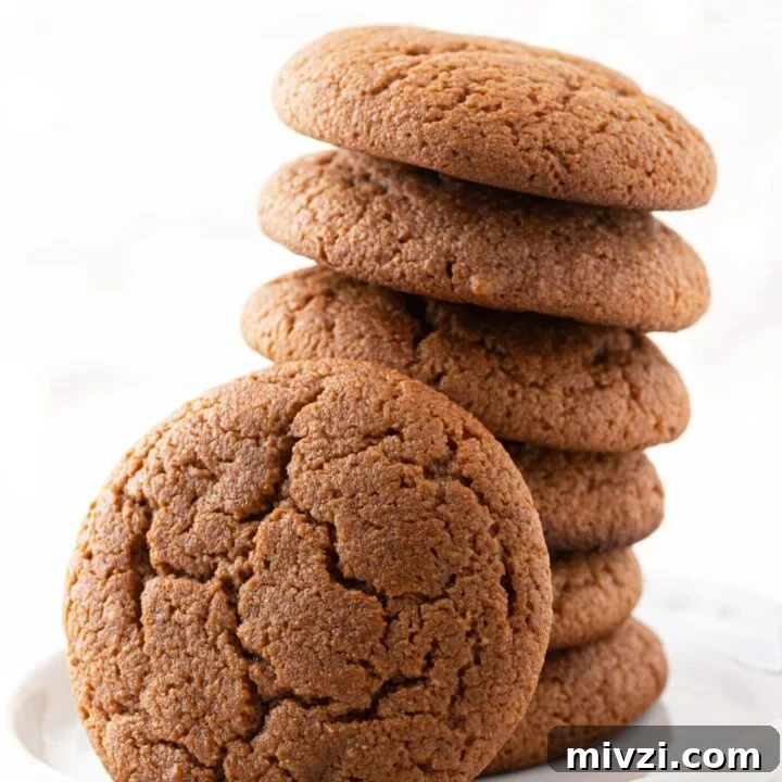 Soft Keto Gingerbread Cookie Recipe