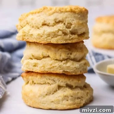 Crispy Homemade Breadsticks Recipe for Perfect Dinner Sides 20 Best Homemade Biscuits