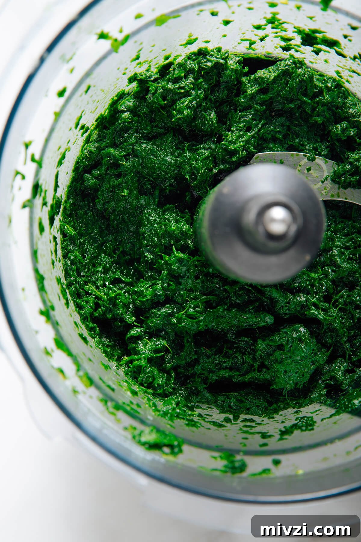 spinach in food processor