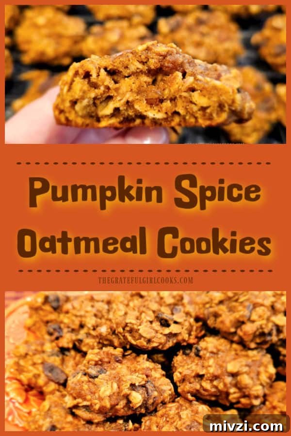 Pumpkin Spice Oatmeal Cookies are simple, soft cookies (with raisins and nuts) you'll enjoy any time! Recipe makes 2½ dozen YUMMY treats!