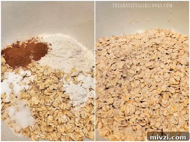 Oats, flour, pumpkin spice, baking soda, salt and baking powder are combined.