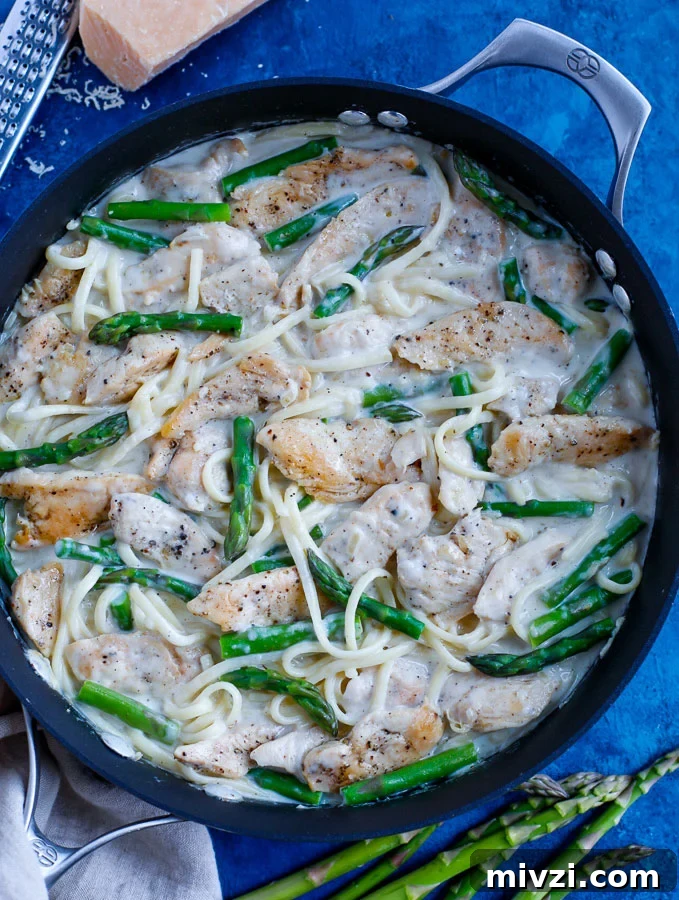 creamy chicken alfredo pasta top down shot creamy chicken alfredo pasta
