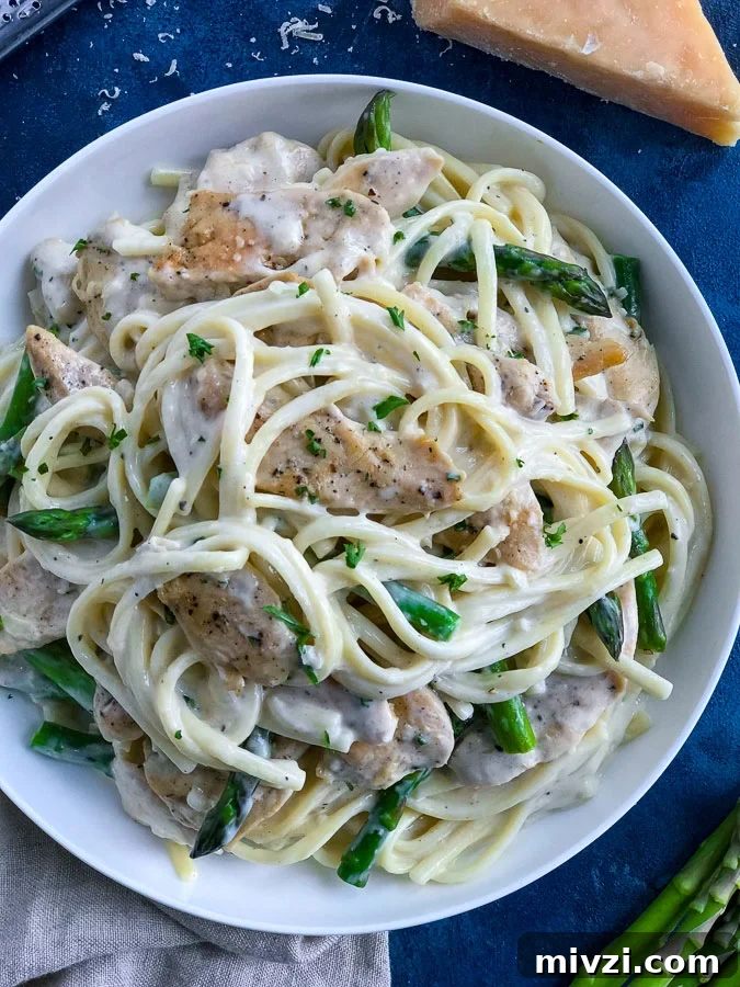 creamy chicken alfredo pasta creamy chicken alfredo pasta