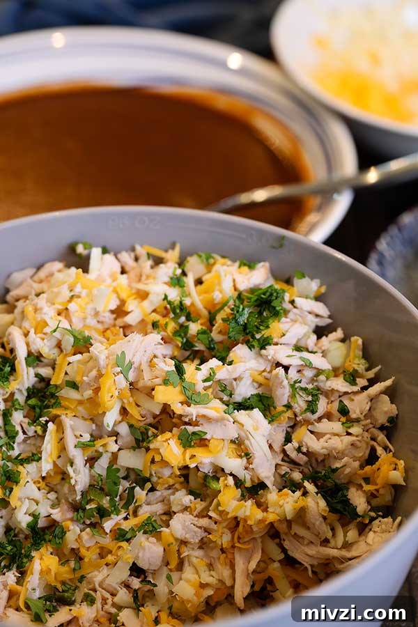 chicken mix for smoked chicken enchiladas 