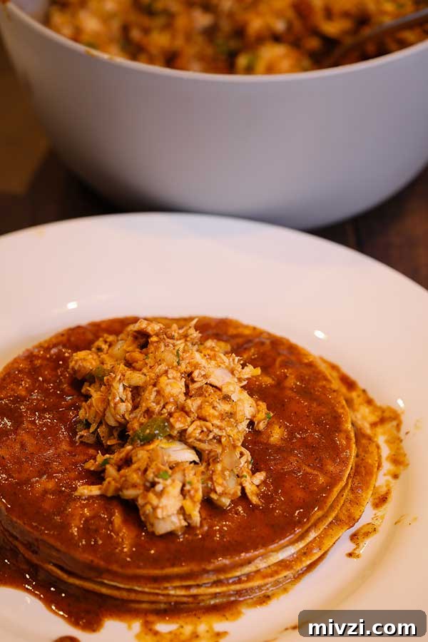 chicken on a corn tortilla 