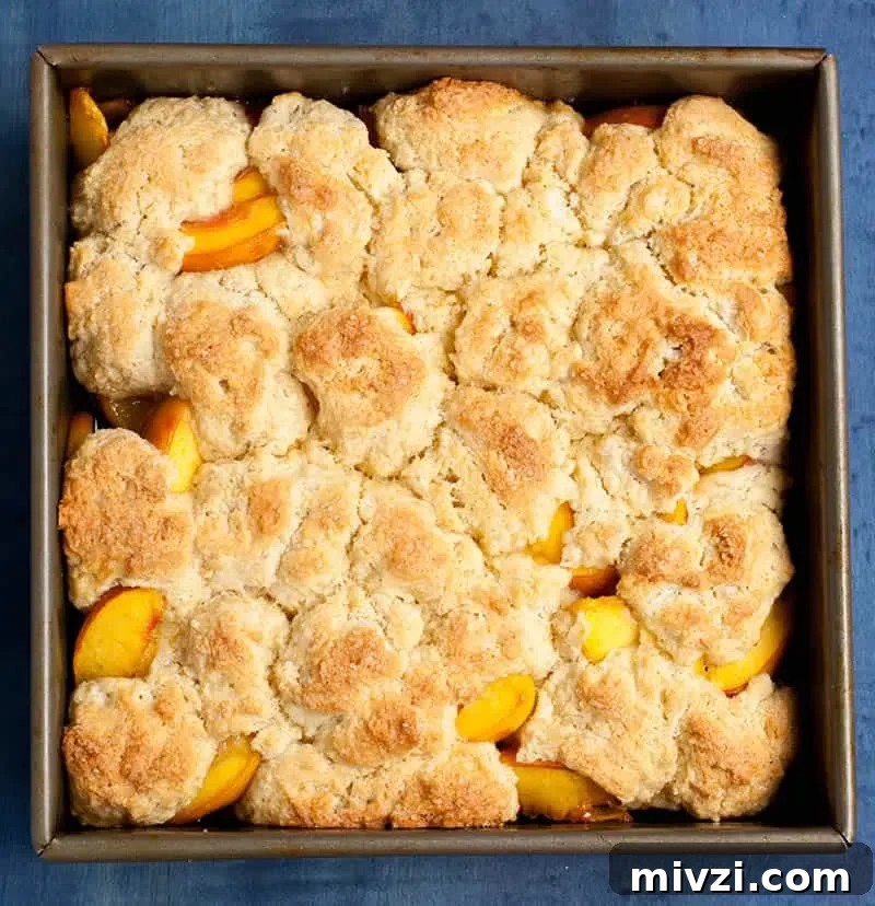 Georgia Peach Cobbler. Fresh peaches, lightly spiced and sweetened with two kinds of sugar, are baked under a delicious sweet biscuit topping!