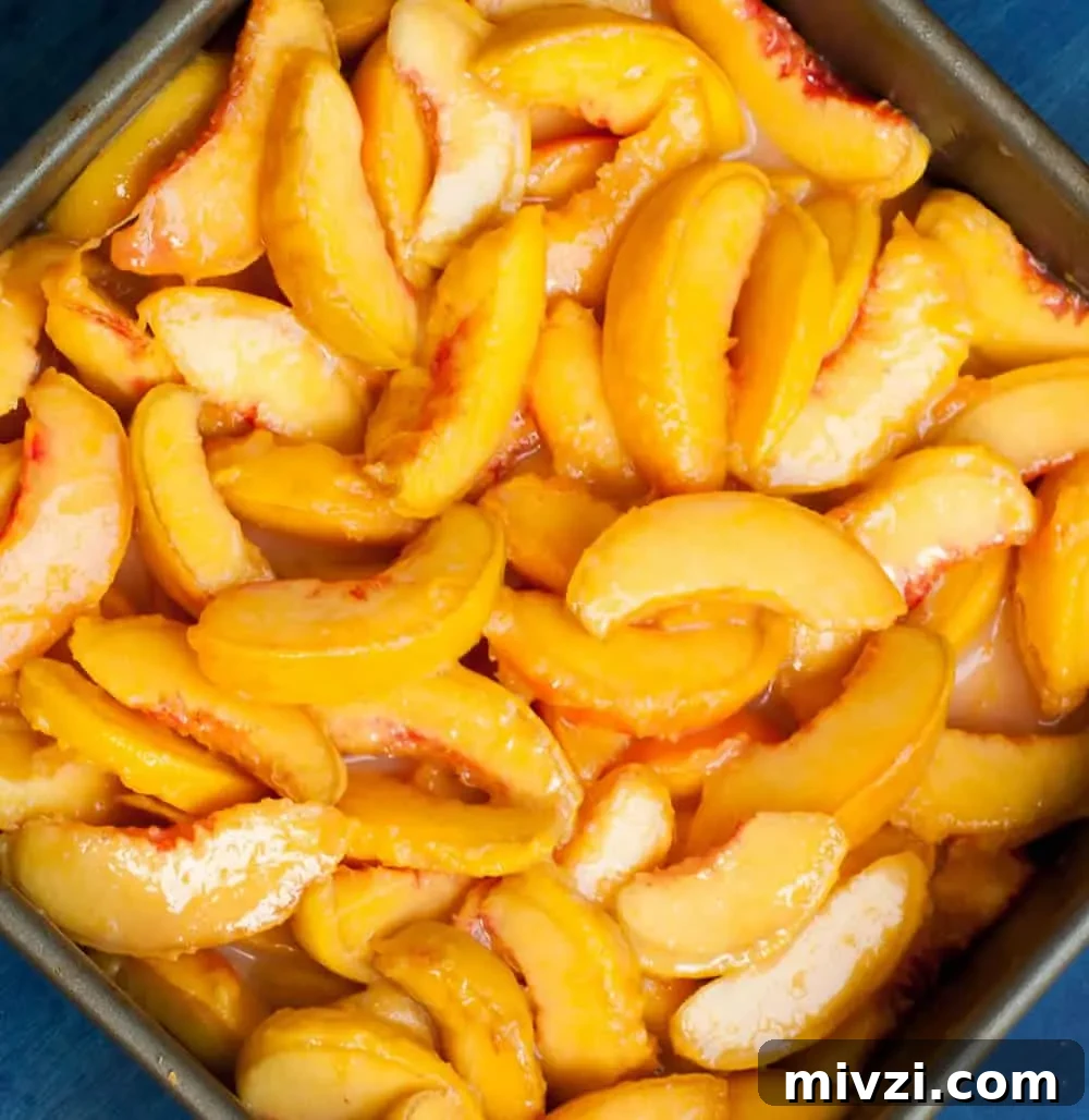 Georgia Peach Cobbler. Fresh peaches, lightly spiced and sweetened with two kinds of sugar, are baked under a delicious sweet biscuit topping!