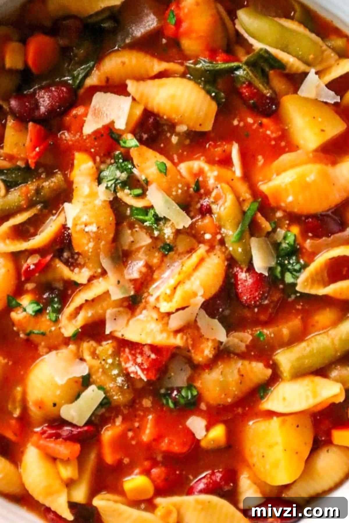 italian vegetable soup with pasta