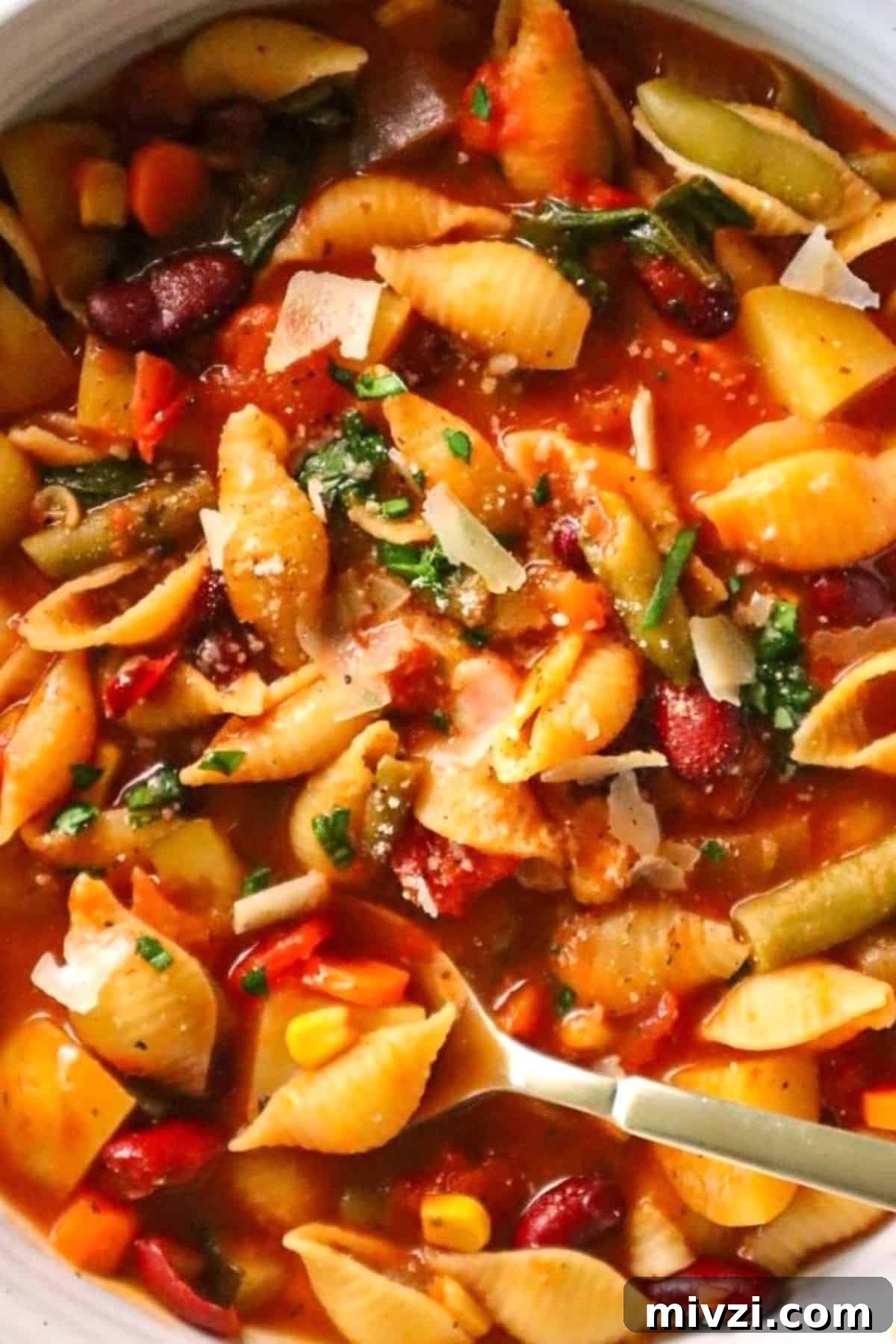 vegetable soup with pasta
