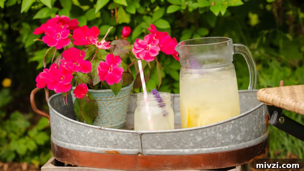 Homemade lemonade recipe outside