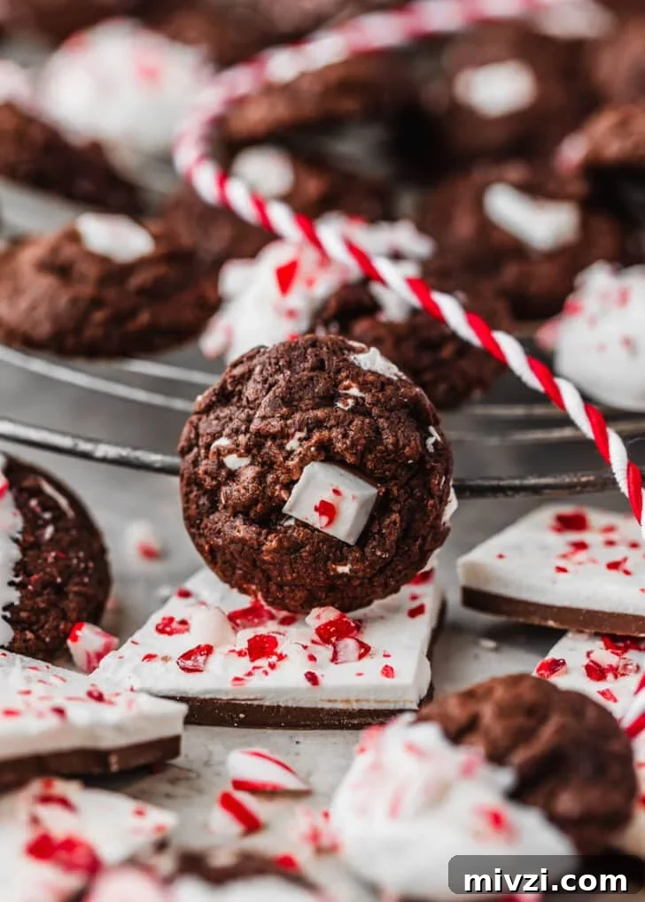 Chewy Mini Chocolate Peppermint Bark Cookies for Holiday Baking 12 A cookie leaning against a wire rack of mini chocolate peppermint bark cookies next to peppermint bark and red and white striped ribbon with a grey background.