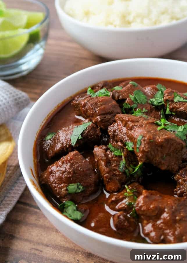 Chile Colorado {Beef Stewed in a Red Chile Sauce} aka Carne Con Chile Rojo