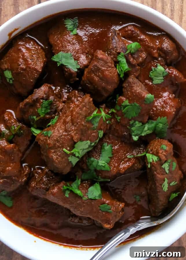 Chile Colorado {Beef Stewed in a Red Chile Sauce} aka Carne Con Chile Rojo