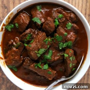 Chile Colorado {Beef Stewed in a Red Chile Sauce} aka Carne Con Chile Rojo