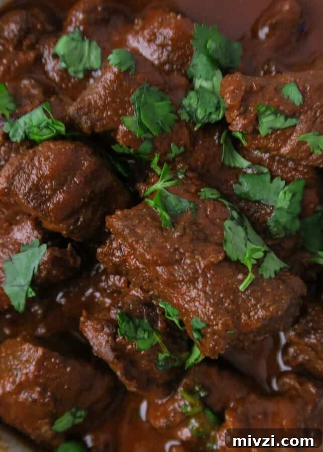 Chile Colorado {Beef Stewed in a Red Chile Sauce} aka Carne Con Chile Rojo