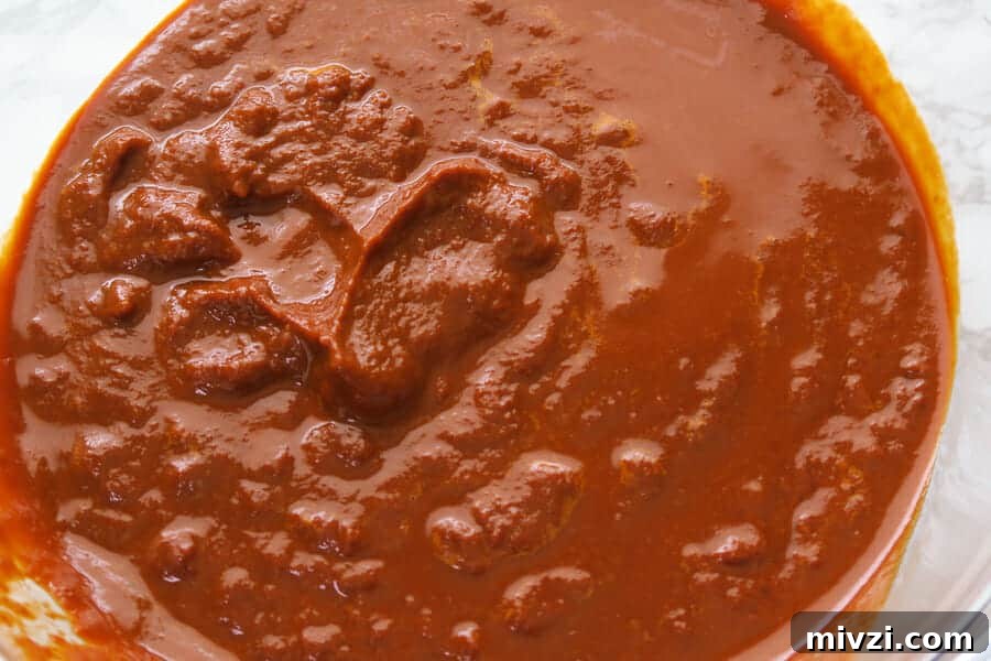 close-up of the red chile sauce for the chile colorado