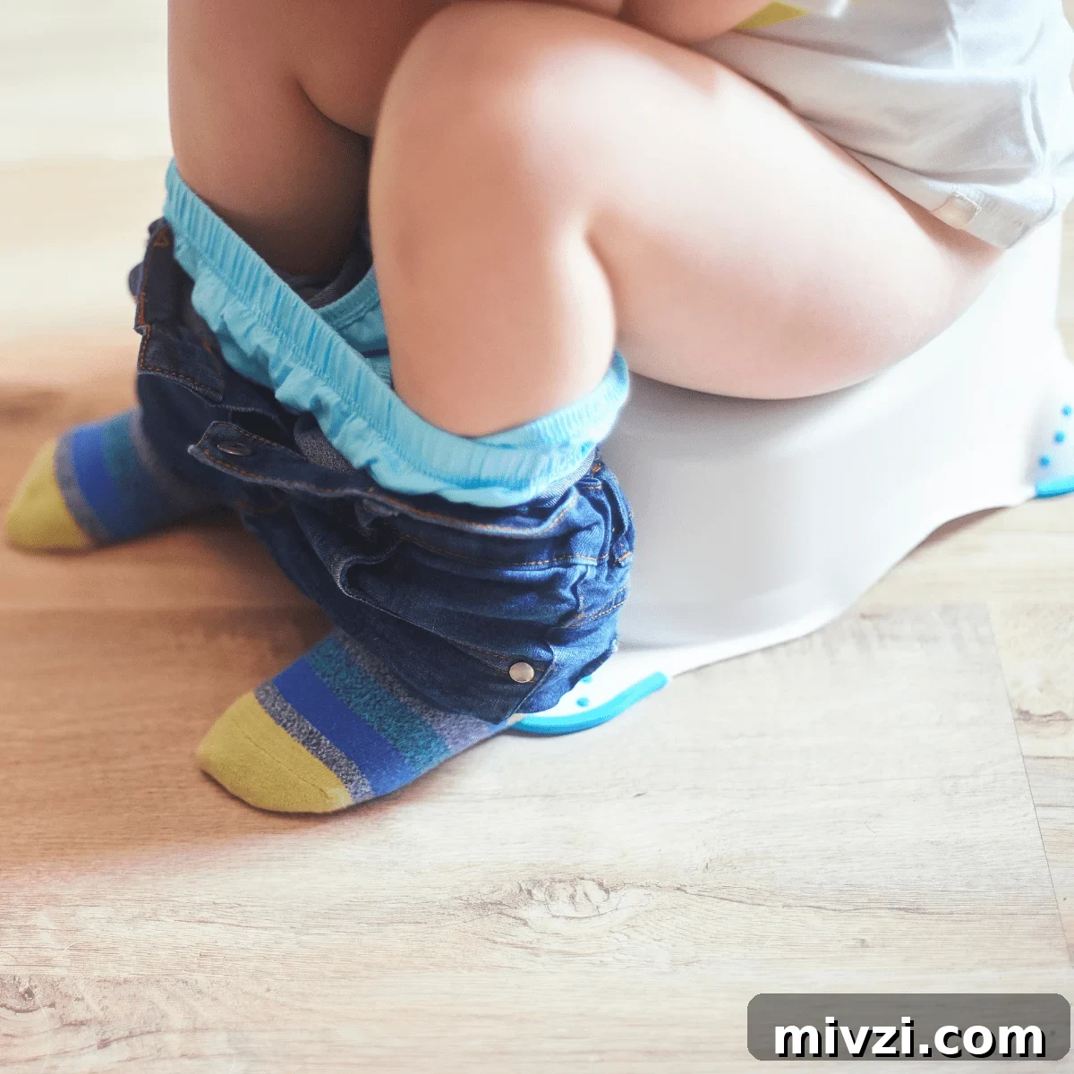 Toddler on a training toilet with pants around their ankles.