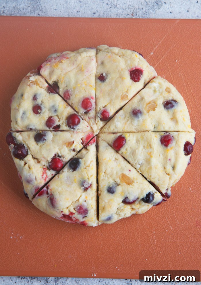 dough for cranberry scones shaped into a circle and cut into 8 wedges