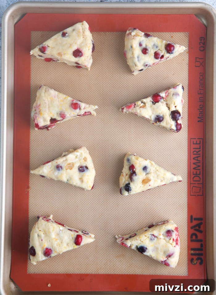 cranberry orange scones on a baking sheet ready to be baked.