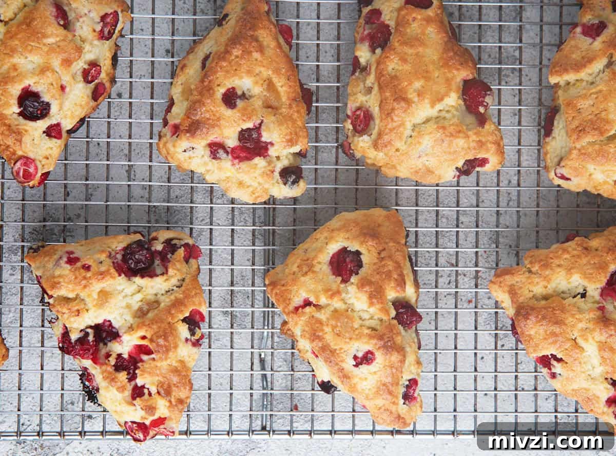 Cranberry Orange Scones on a wire cooling rack.