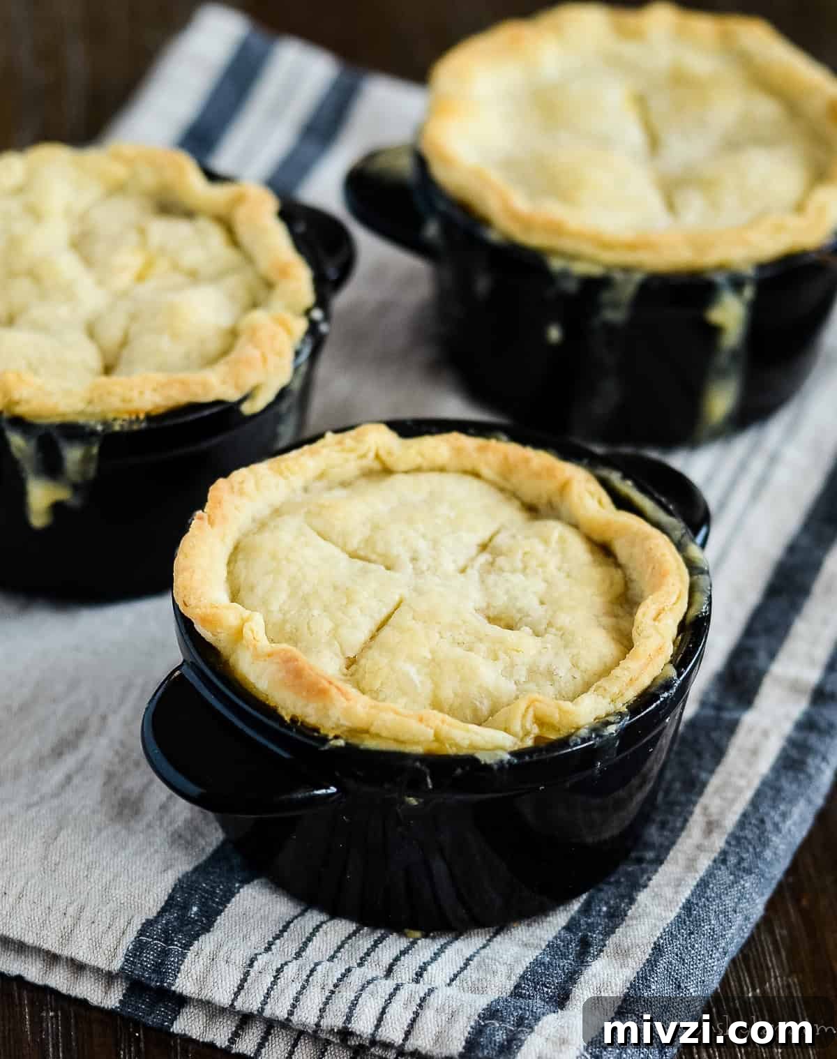Mini Chicken Pot Pies with Flaky Pie Crusts 2 mini chicken pot pies with pie crust
