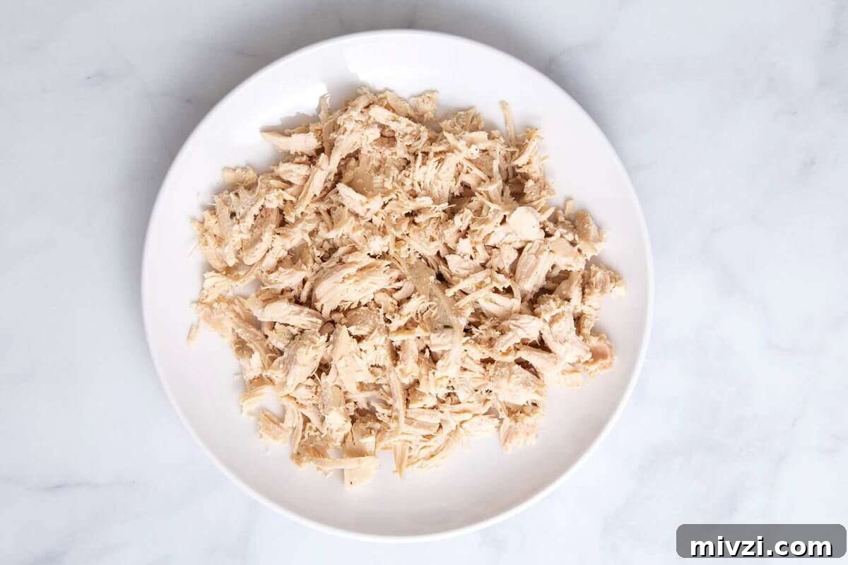 Shredded chicken on plate.