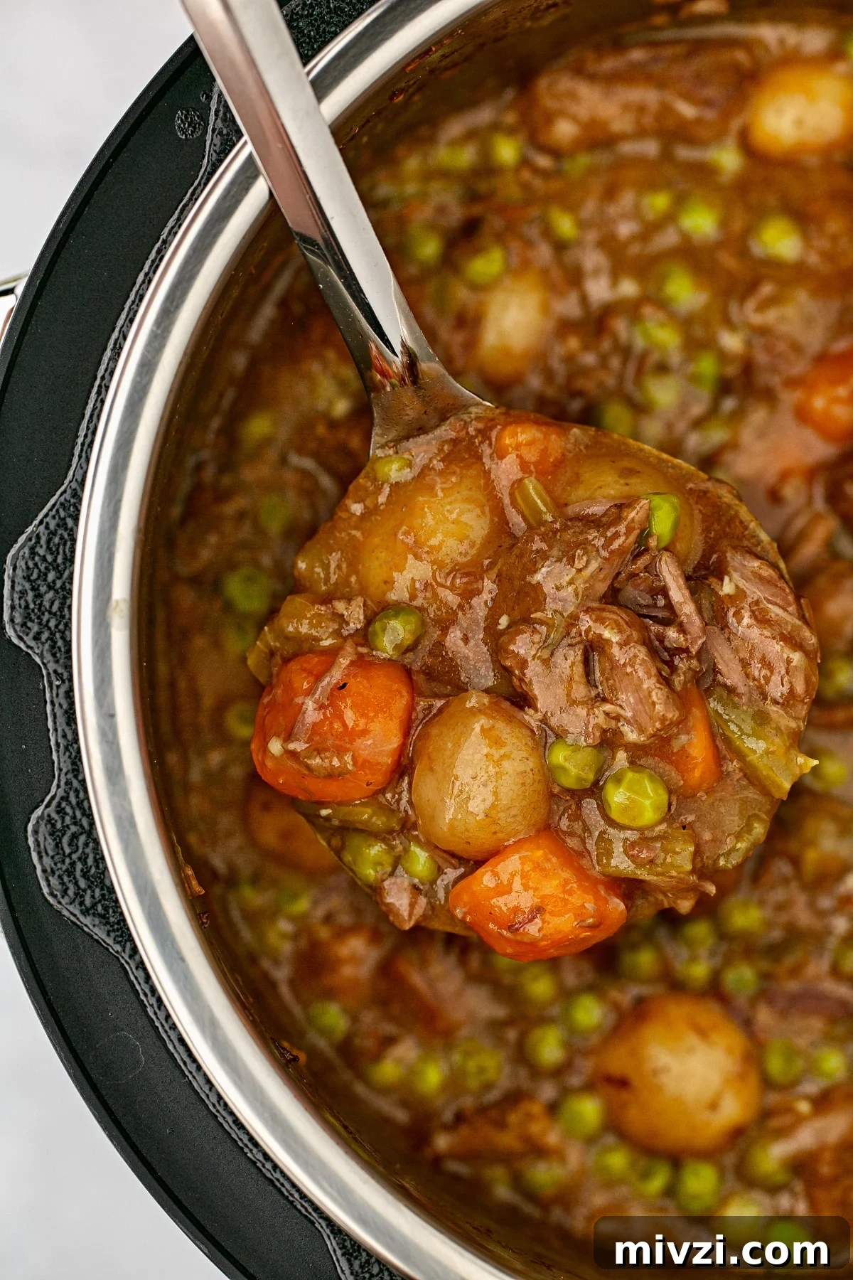 A ladle dipping into an Instant Pot filled with beef stew.