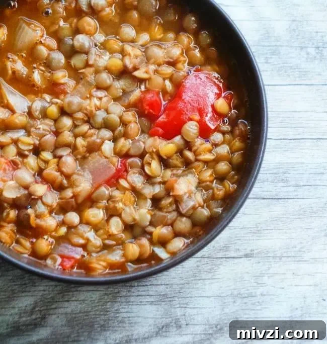 Homemade easy lentil soup recipe! This healthy lentil recipe is gluten-free, vegan and very few ingredients are needed! A great vegan weeknight dinner for a cold day!
