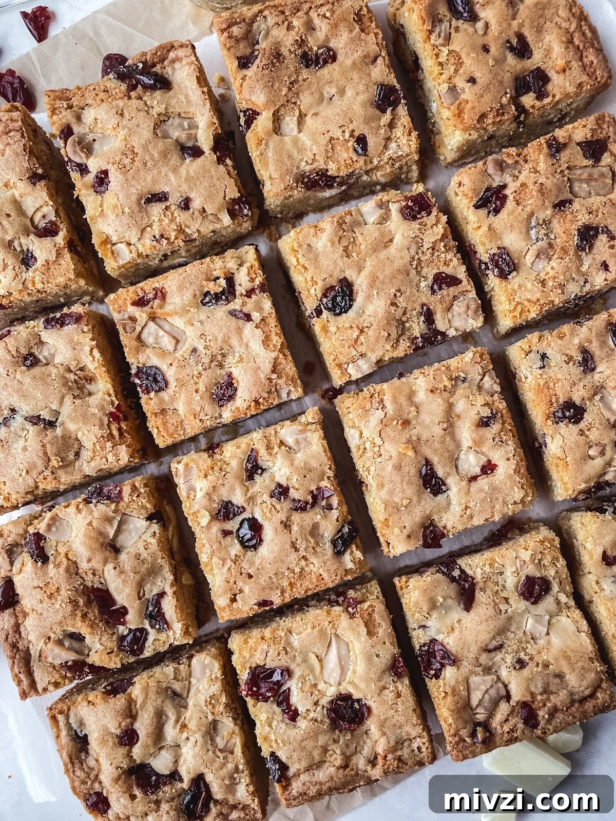 White Chocolate Cranberry Blondie Bars: Soft, Chewy Recipe 3 img 69 2