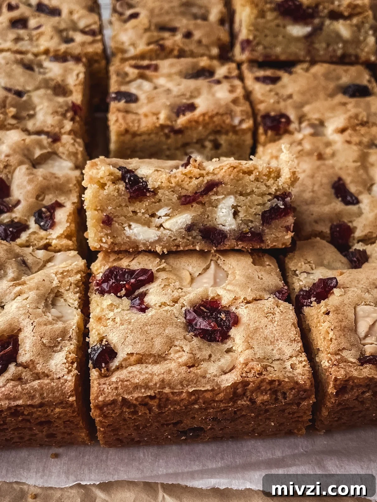 White Chocolate Cranberry Blondie Bars: Soft, Chewy Recipe 4 img 69 3