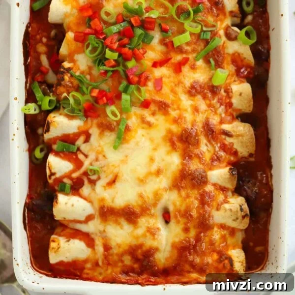 A close up of Beef Enchiladas, straight out of the oven with melted cheese on top.