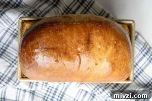 Dough in a loaf pan before and after rising, showing significant expansion.