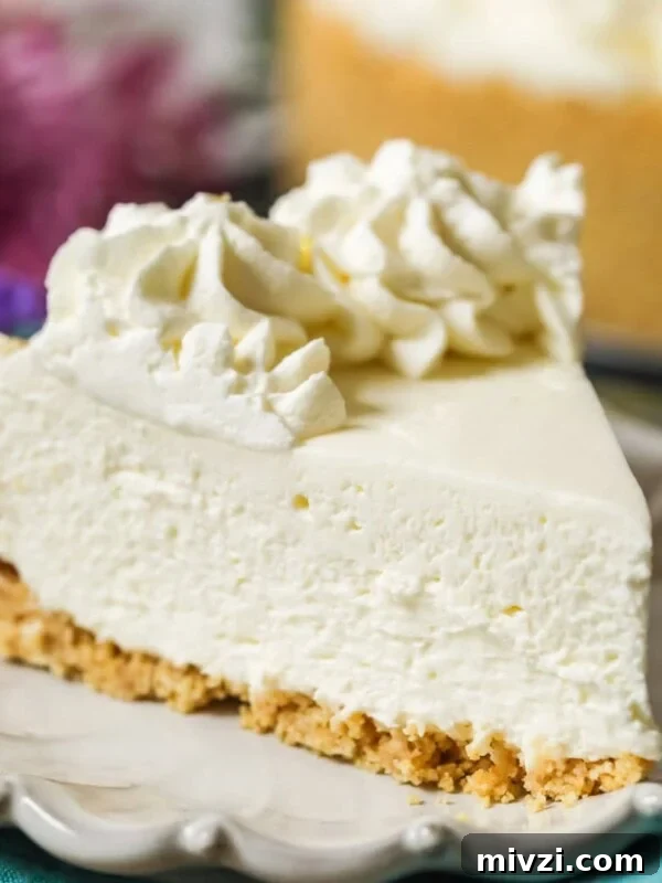 Slice of no-bake cheesecake with a whipped cream topping on a plate.